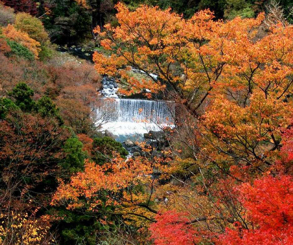 เปลี่ยนบรรยากาศ ฟังเสียงน้ำตก ที่ Chisuji Falls