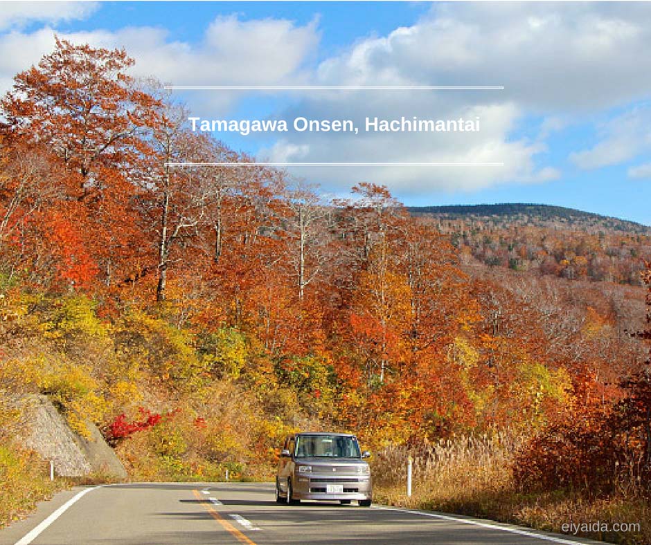 ใบไม้เปลี่ยนสี ที่ Tamagawa Onsen