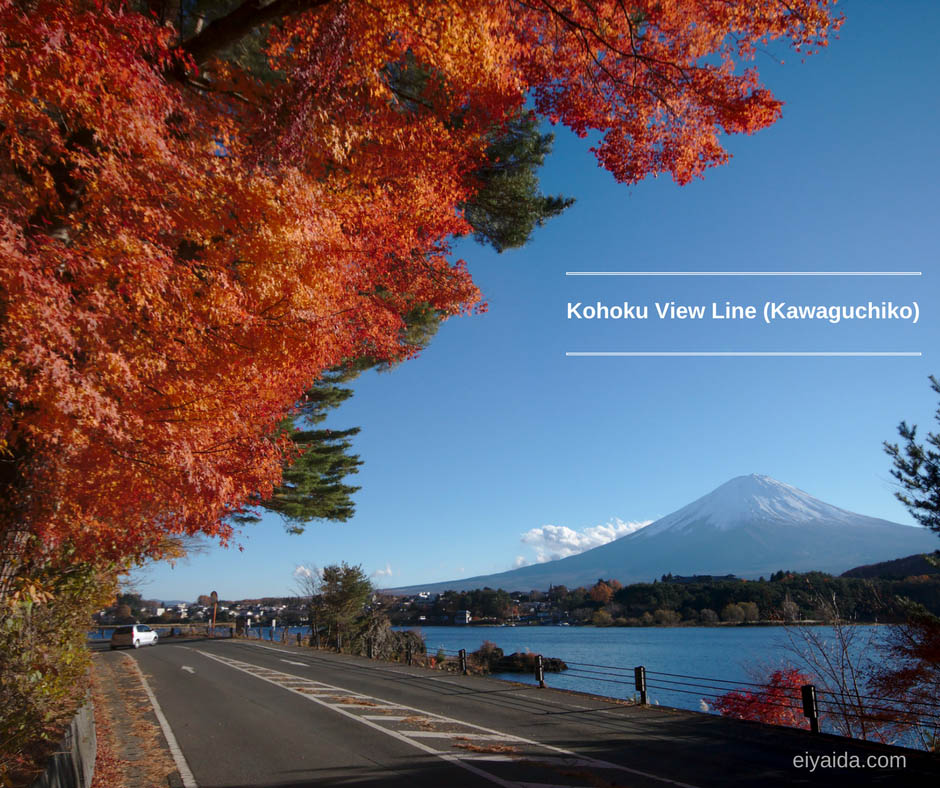 ใบไม้เปลี่ยนสี ที่ Kawaguchiko
