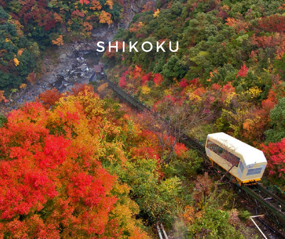 พยากรณ์ใบไม้เปลี่ยนสี Shikoku