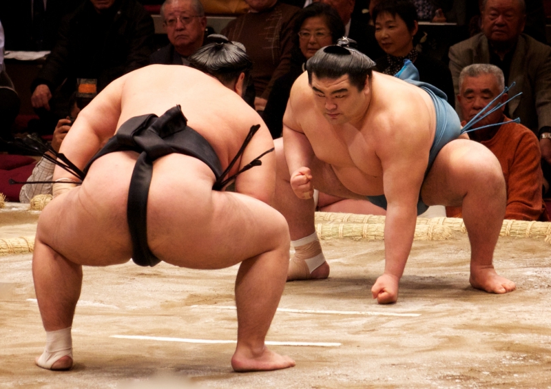 การแข่งขันซูโม่ในญี่ปุ่น